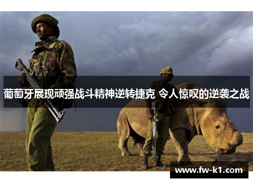 葡萄牙展现顽强战斗精神逆转捷克 令人惊叹的逆袭之战