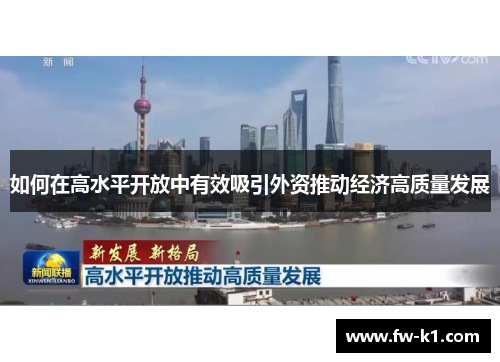 如何在高水平开放中有效吸引外资推动经济高质量发展