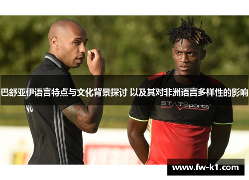巴舒亚伊语言特点与文化背景探讨 以及其对非洲语言多样性的影响