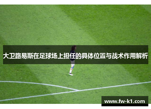 大卫路易斯在足球场上担任的具体位置与战术作用解析