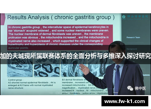 加的夫城现所属联赛体系的全面分析与多维深入探讨研究