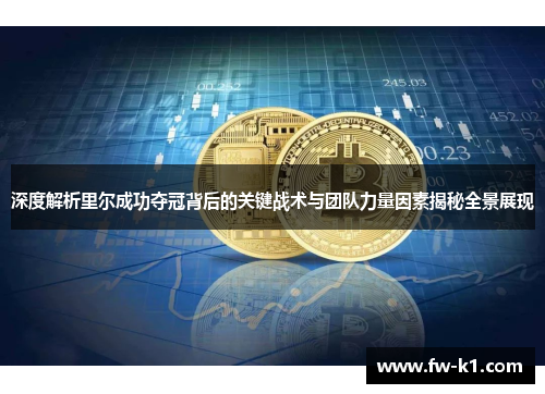 深度解析里尔成功夺冠背后的关键战术与团队力量因素揭秘全景展现